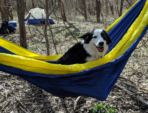 N P Dodge Memorial Park