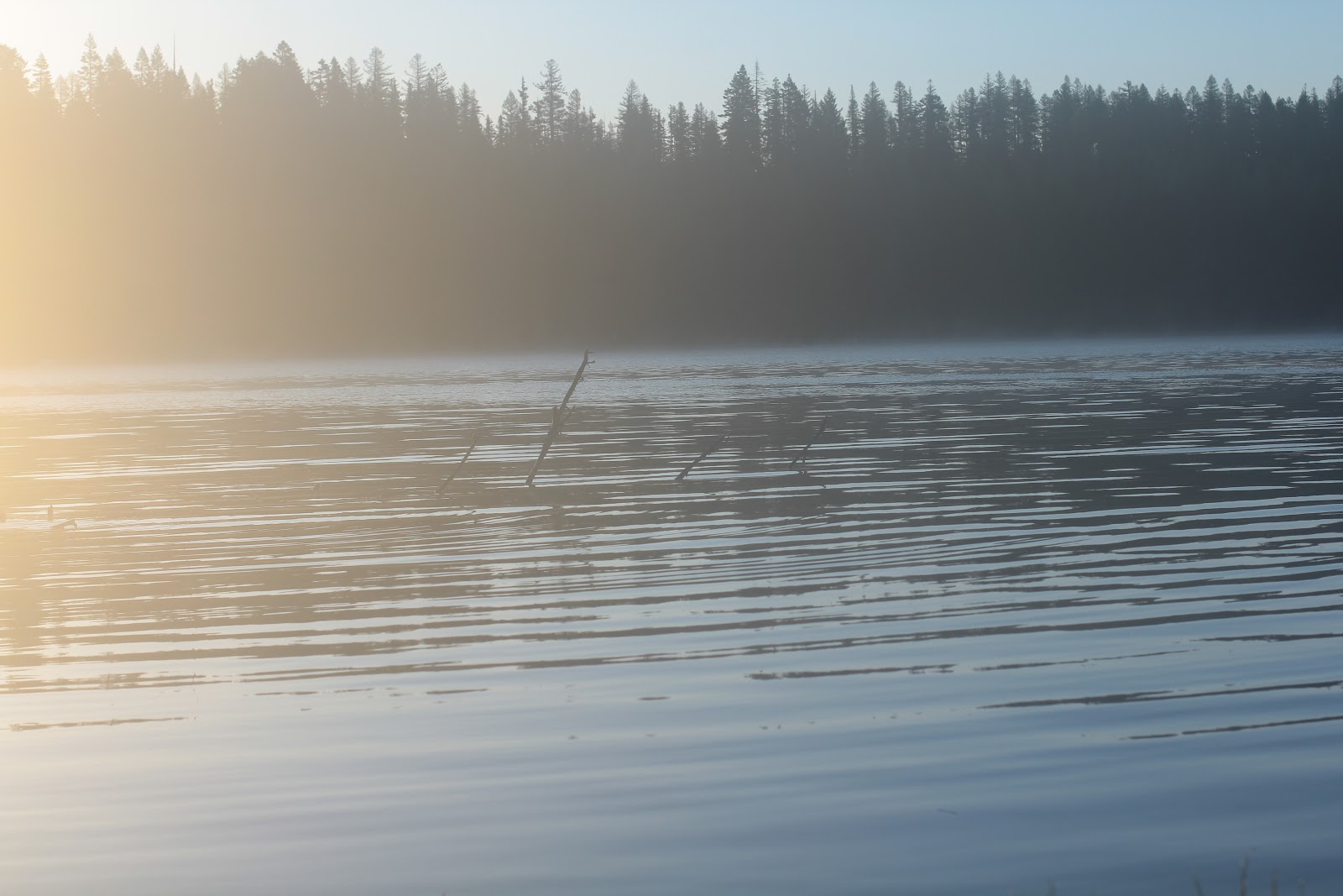 Penland Lake Campground