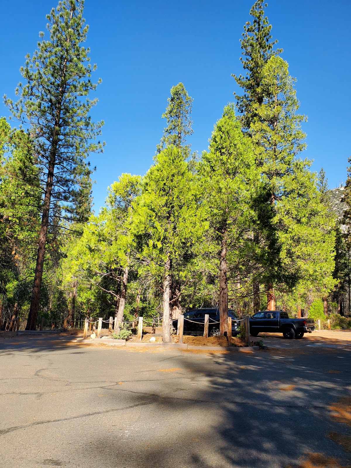 Sentinel Campground