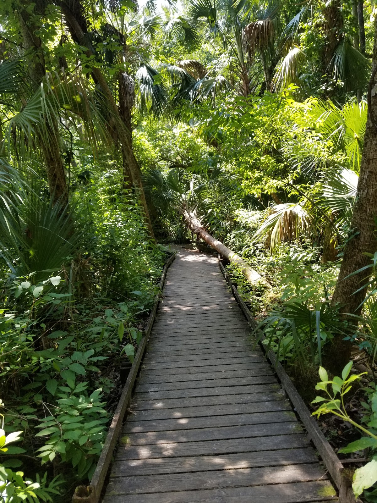 Alexander Springs NF Campground