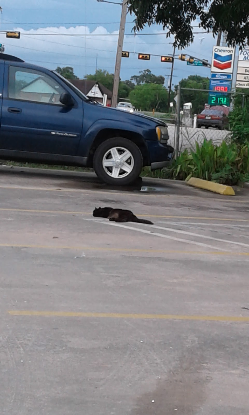 Mobile Manor RV Park