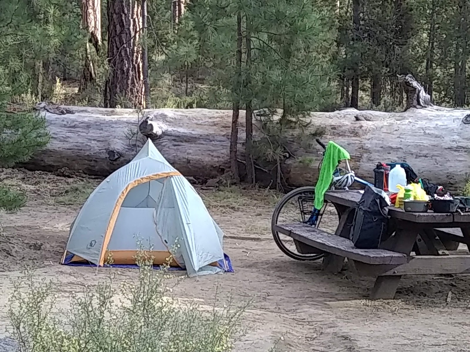 Pringle Falls Campground