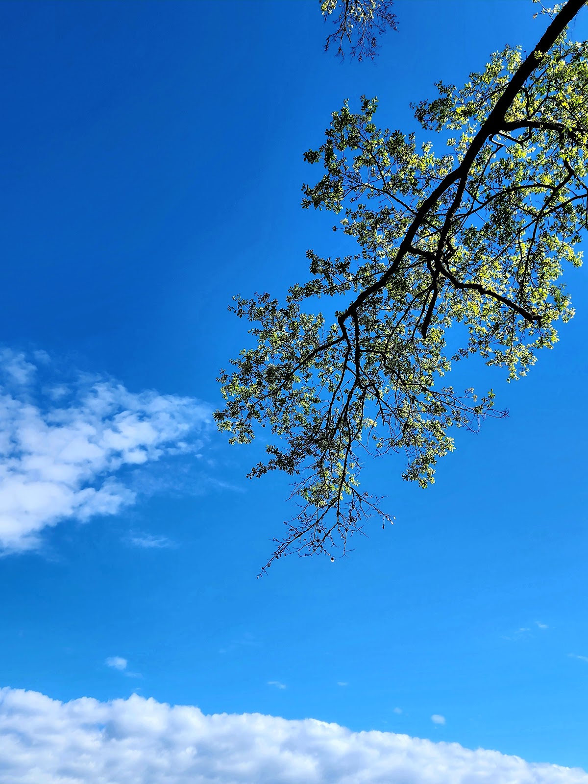 Gum Springs NF Campground