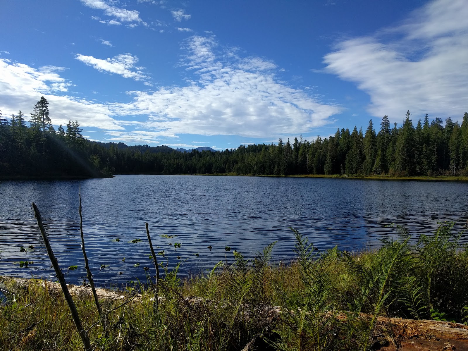 Eagles Nest NF Campground