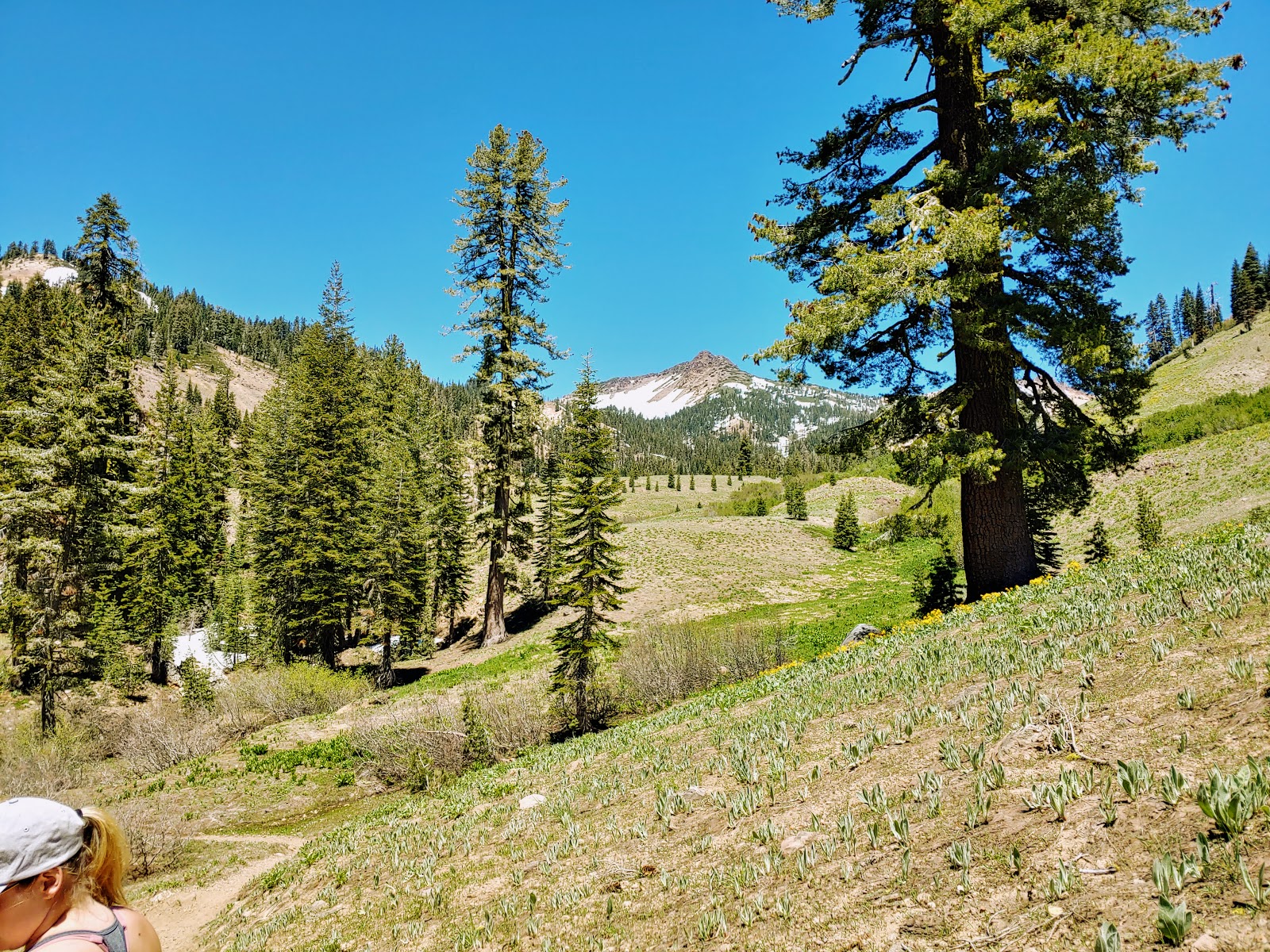 Summit Lake North - Lassen Volcanic National Park