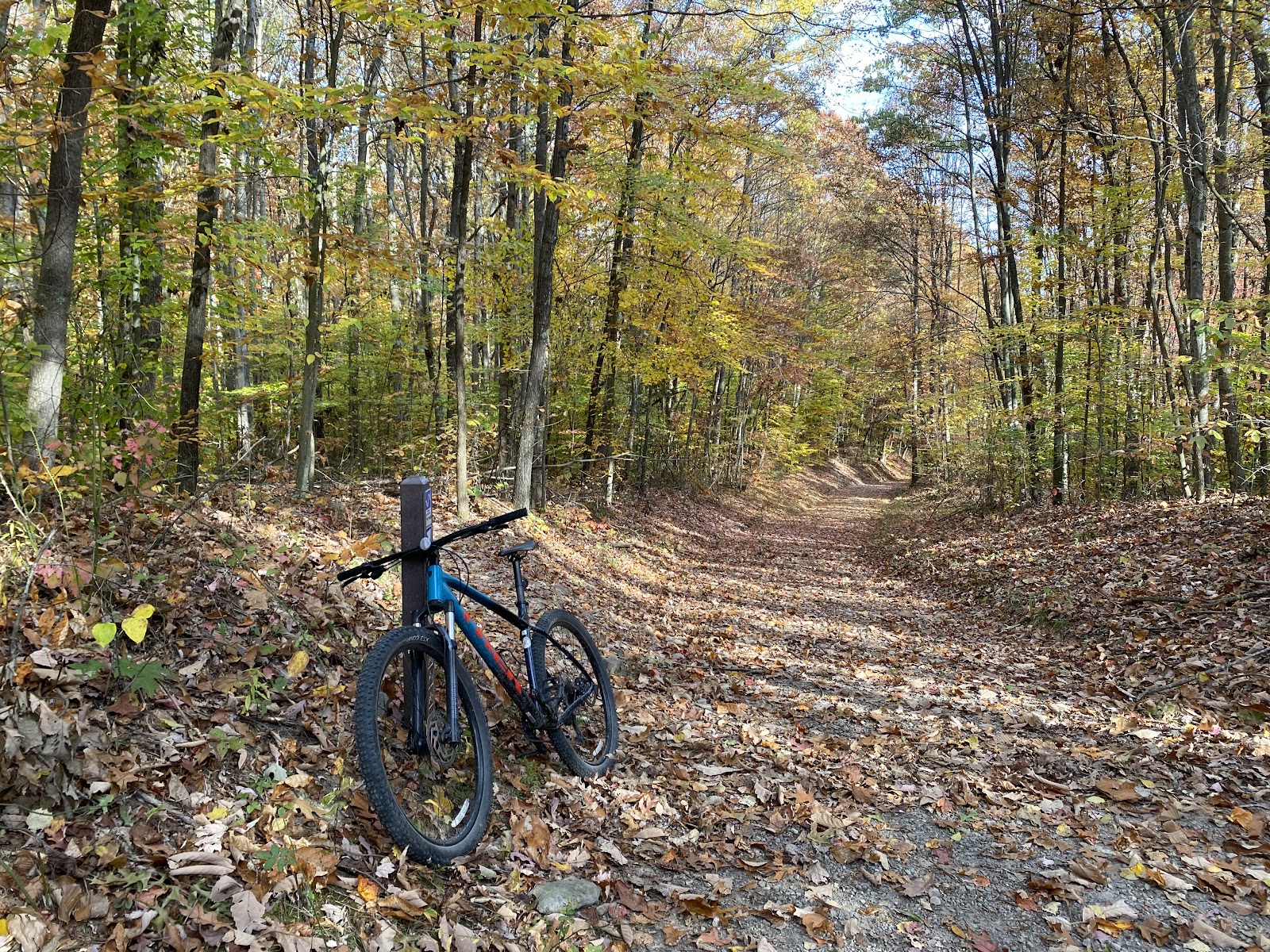 Arrowhead Bike Farm and Campground