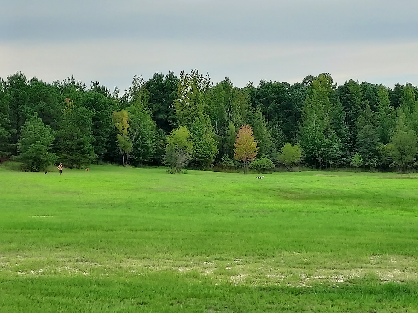 Crossett RV Park & Campground