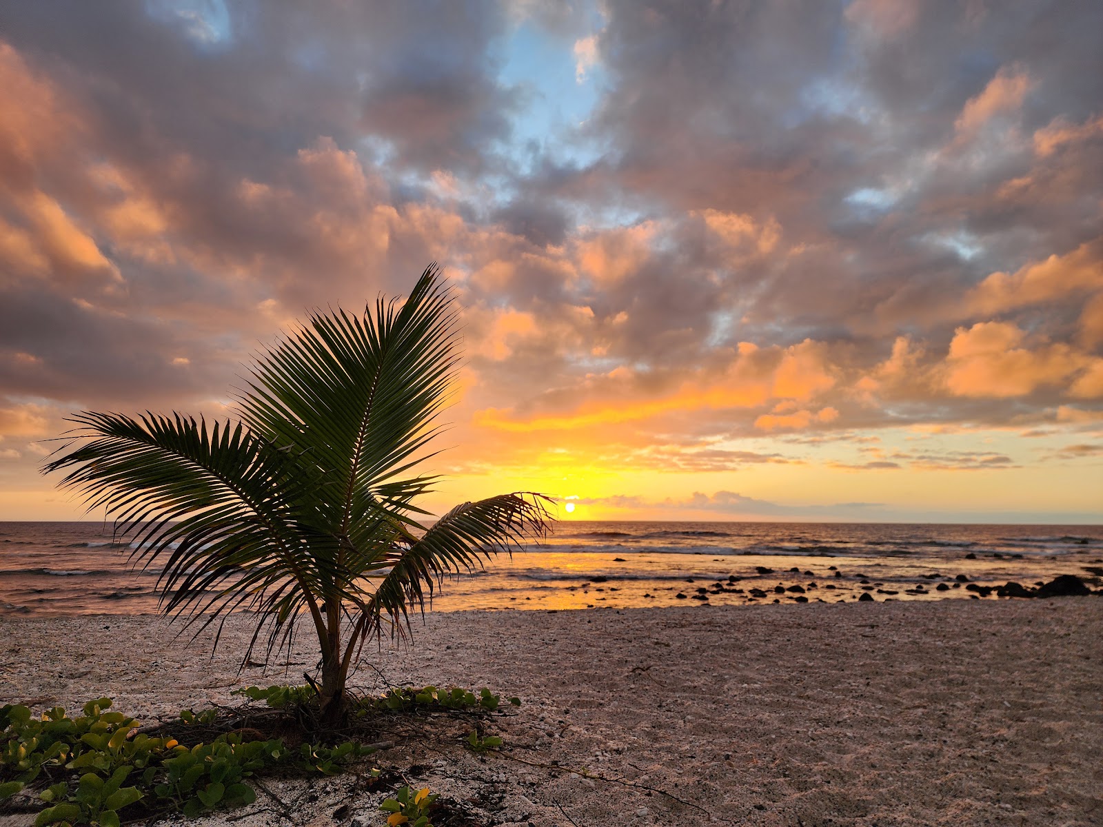 Kohanaiki Beach Park