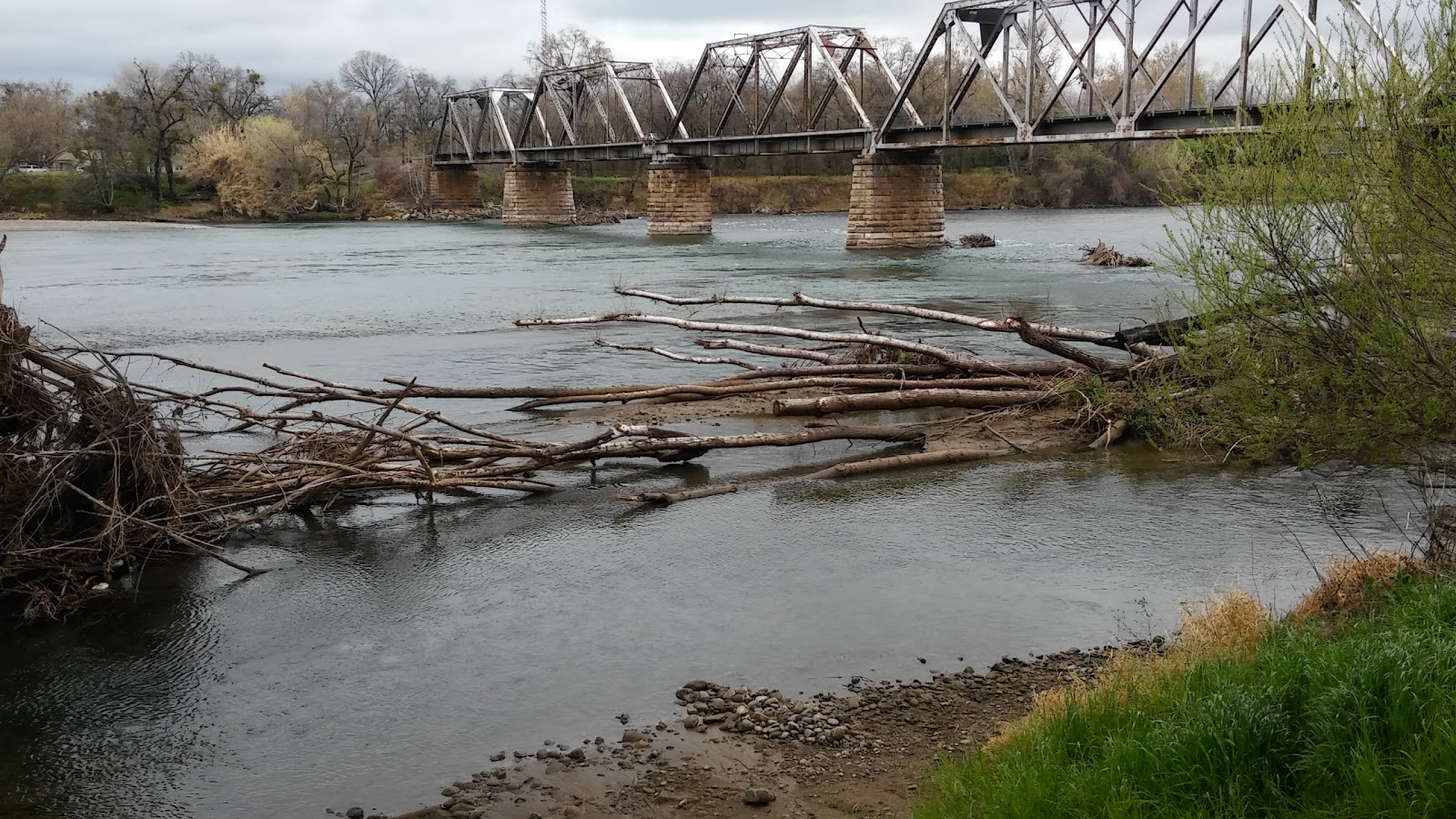 Driftwood RV Park & Fishing Resort