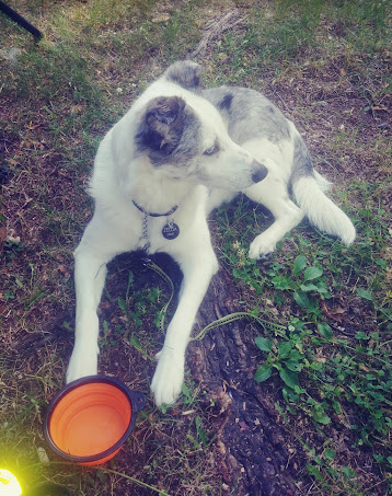 Highview Campground & RV Park