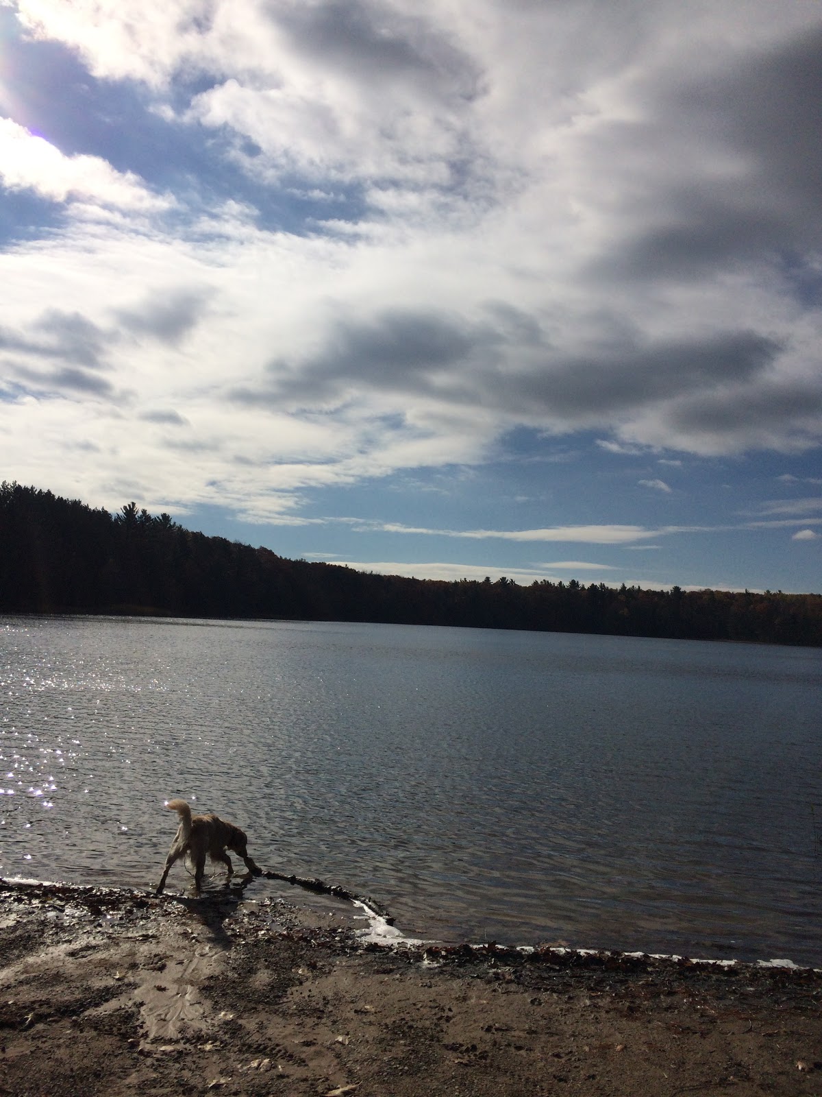 Guernsey Lake SF Campground