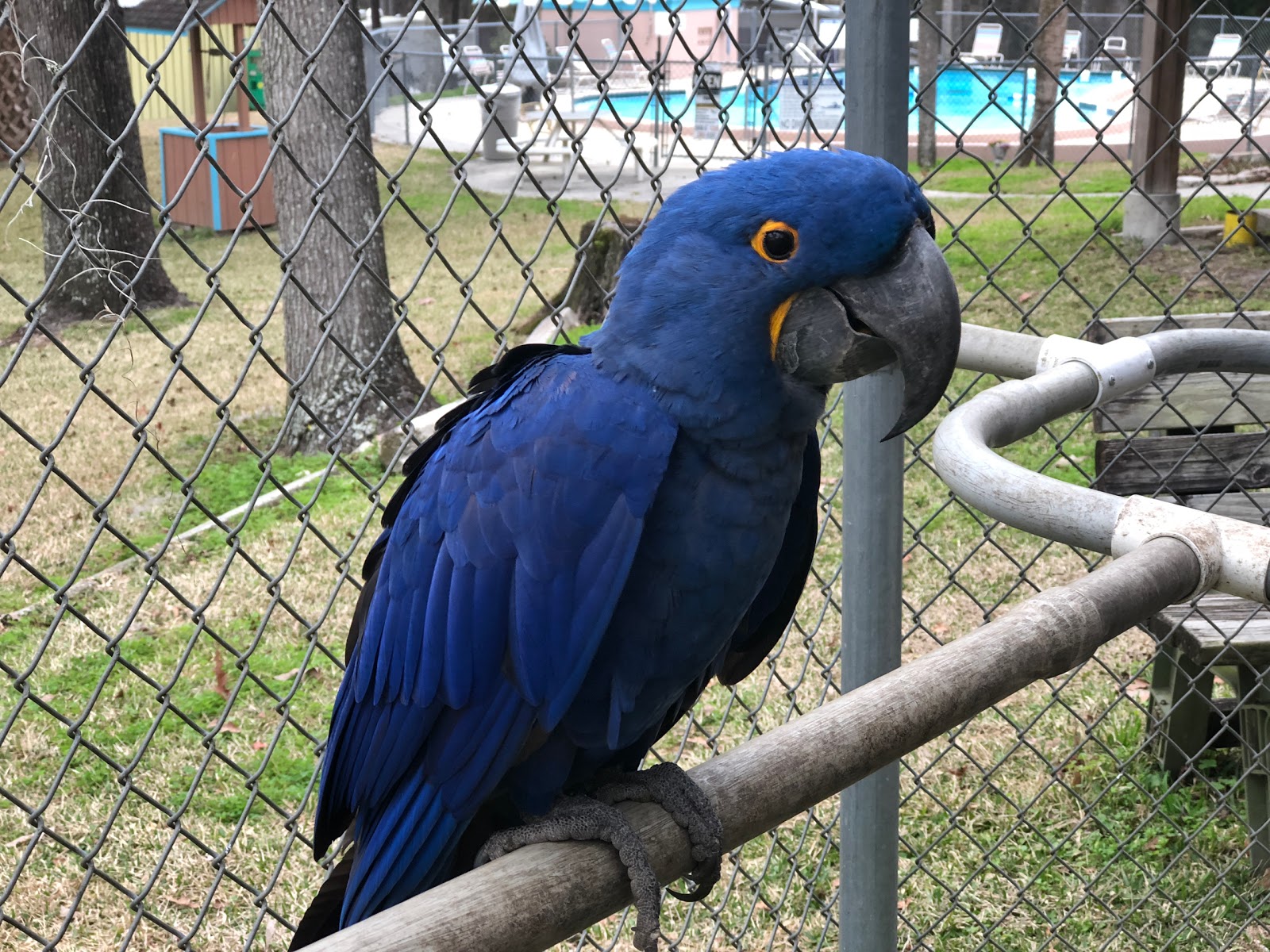 Traveler's Campground