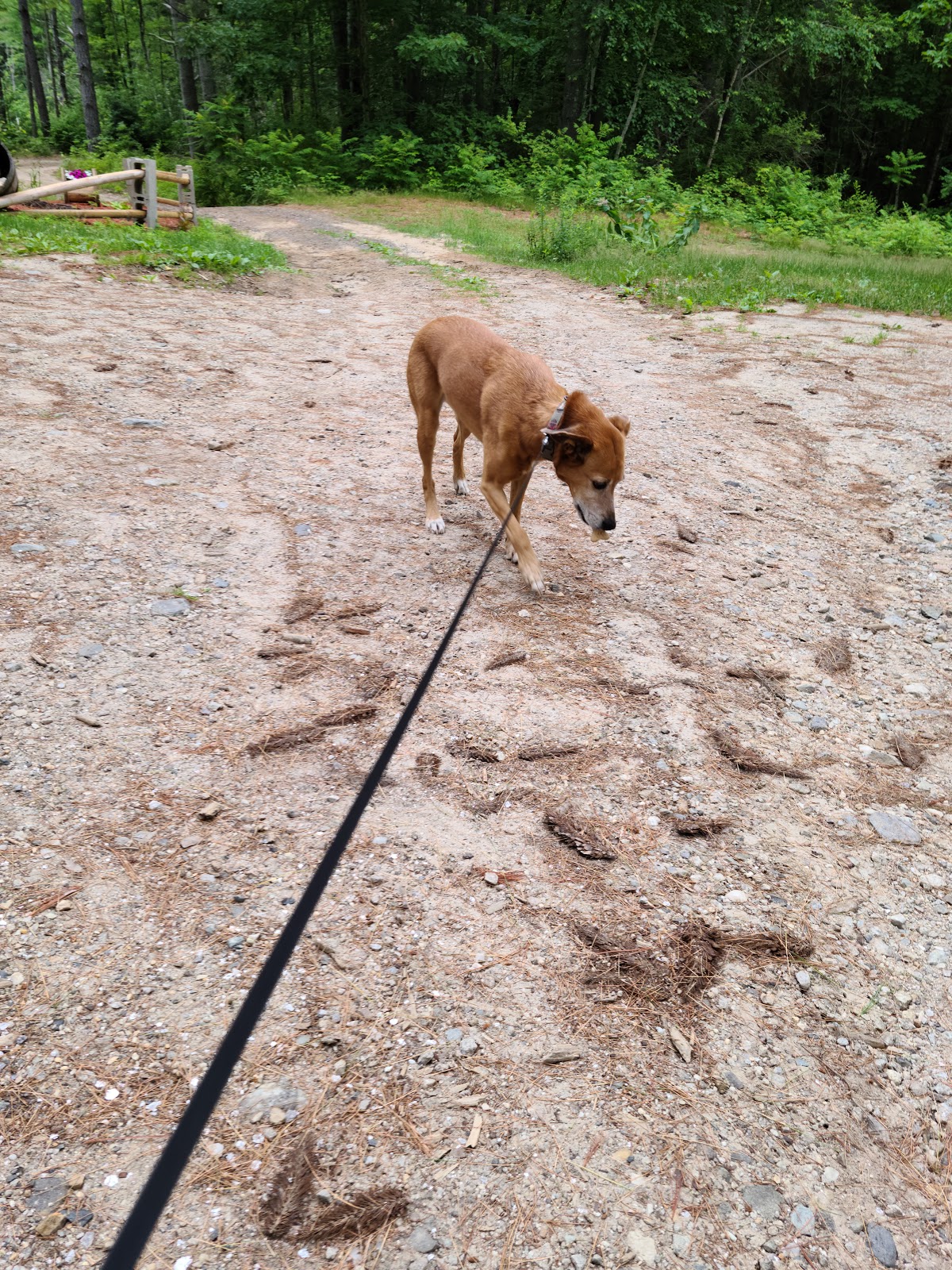 Range Pond Campground