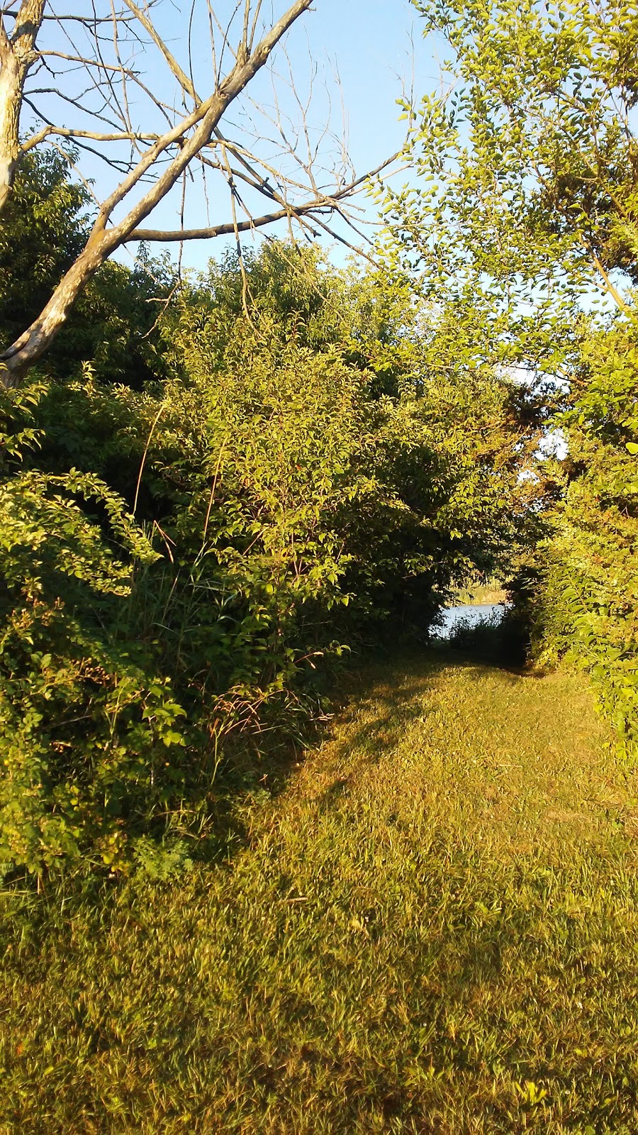 Criss Cove Campground