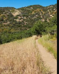 Topanga State Park