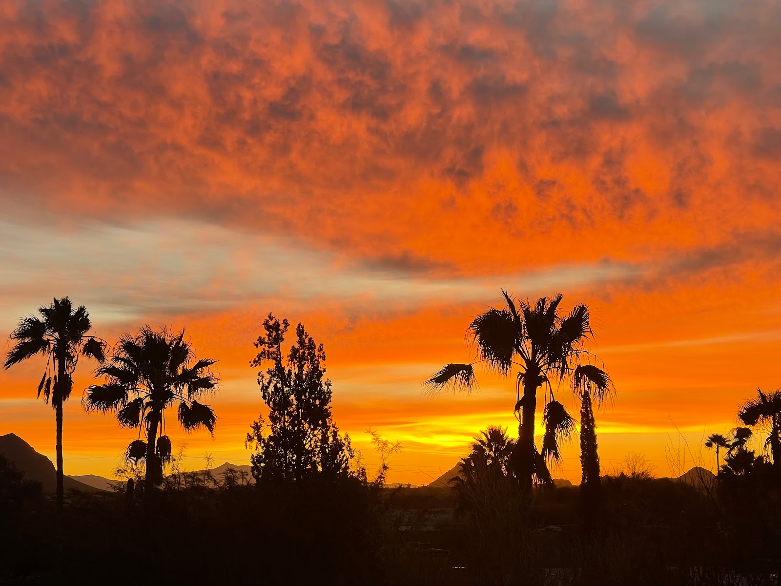 Desert Trails RV Park