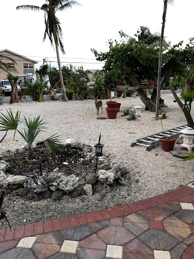 Breezy Pines RV Park