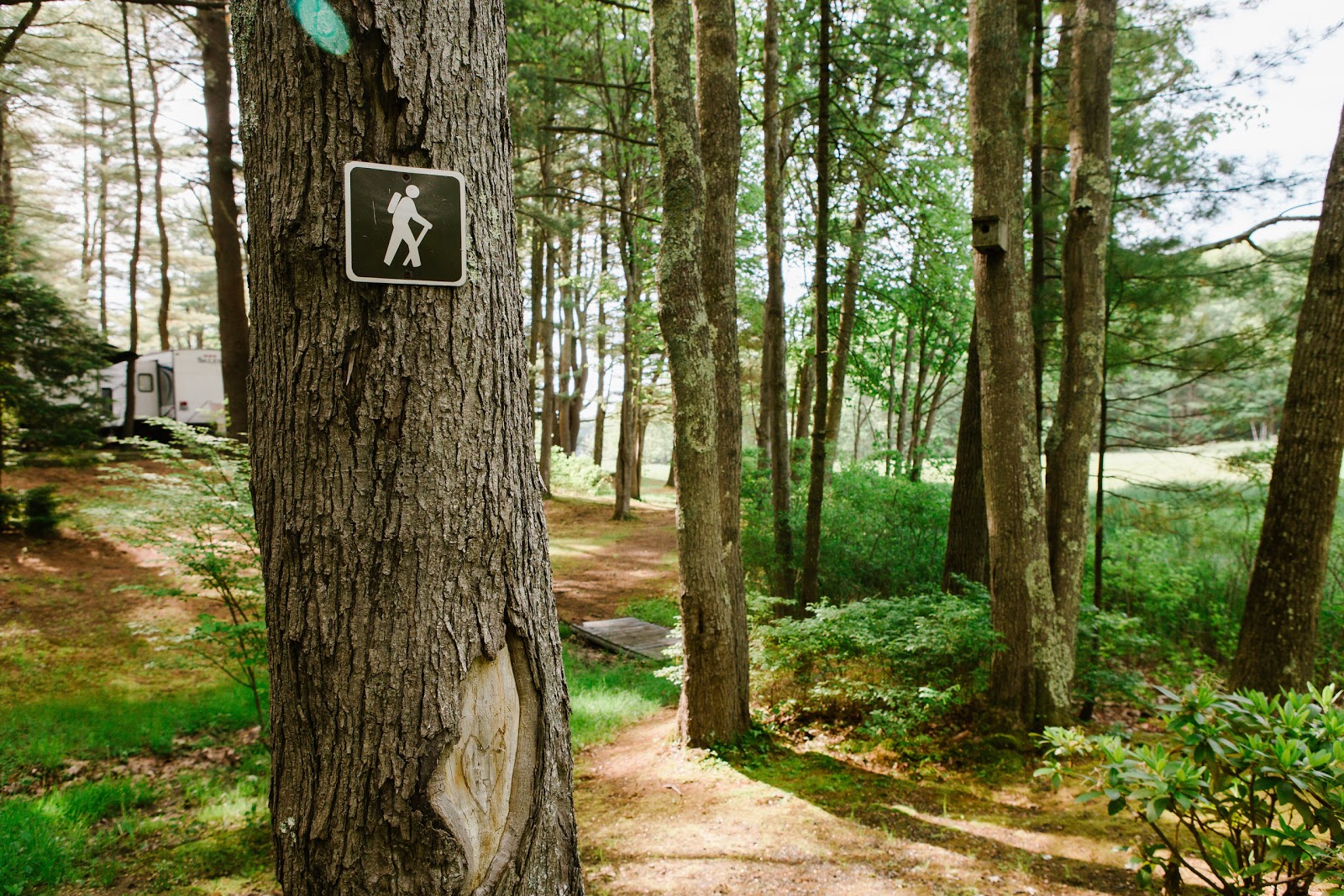 Wild Duck Campground