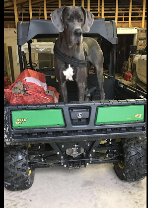 Canyon Country Campground