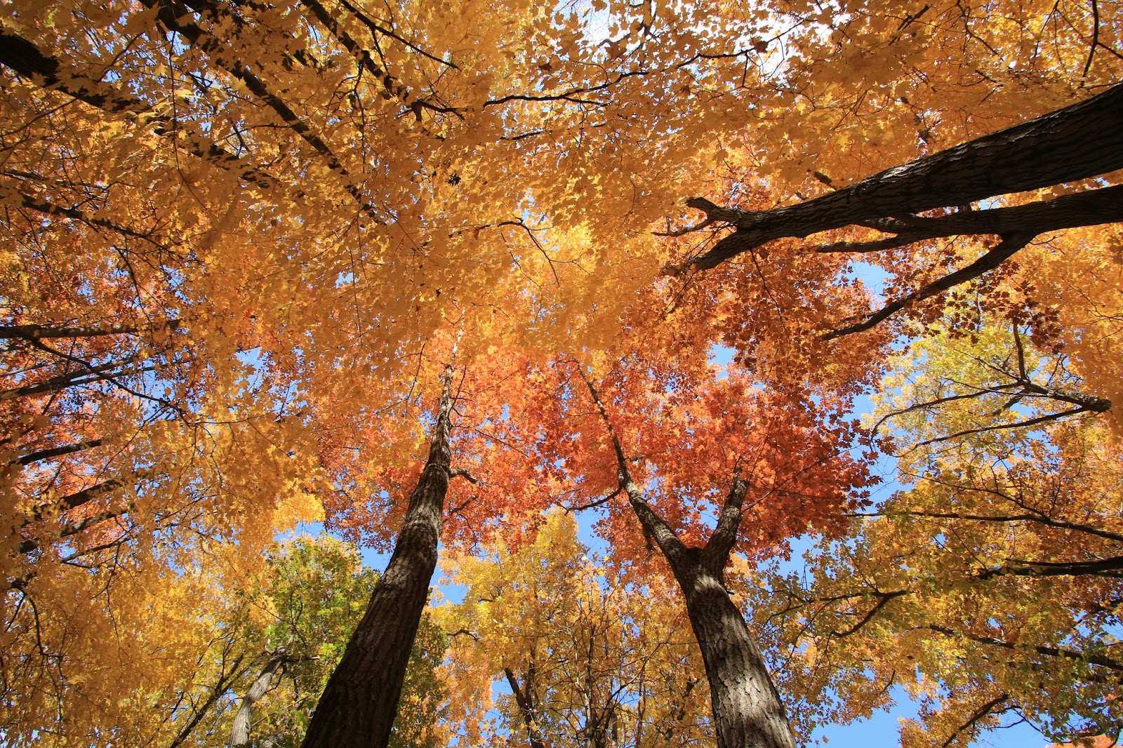 Lake Maria State Park