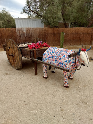 Leapin' Lizard RV Ranch