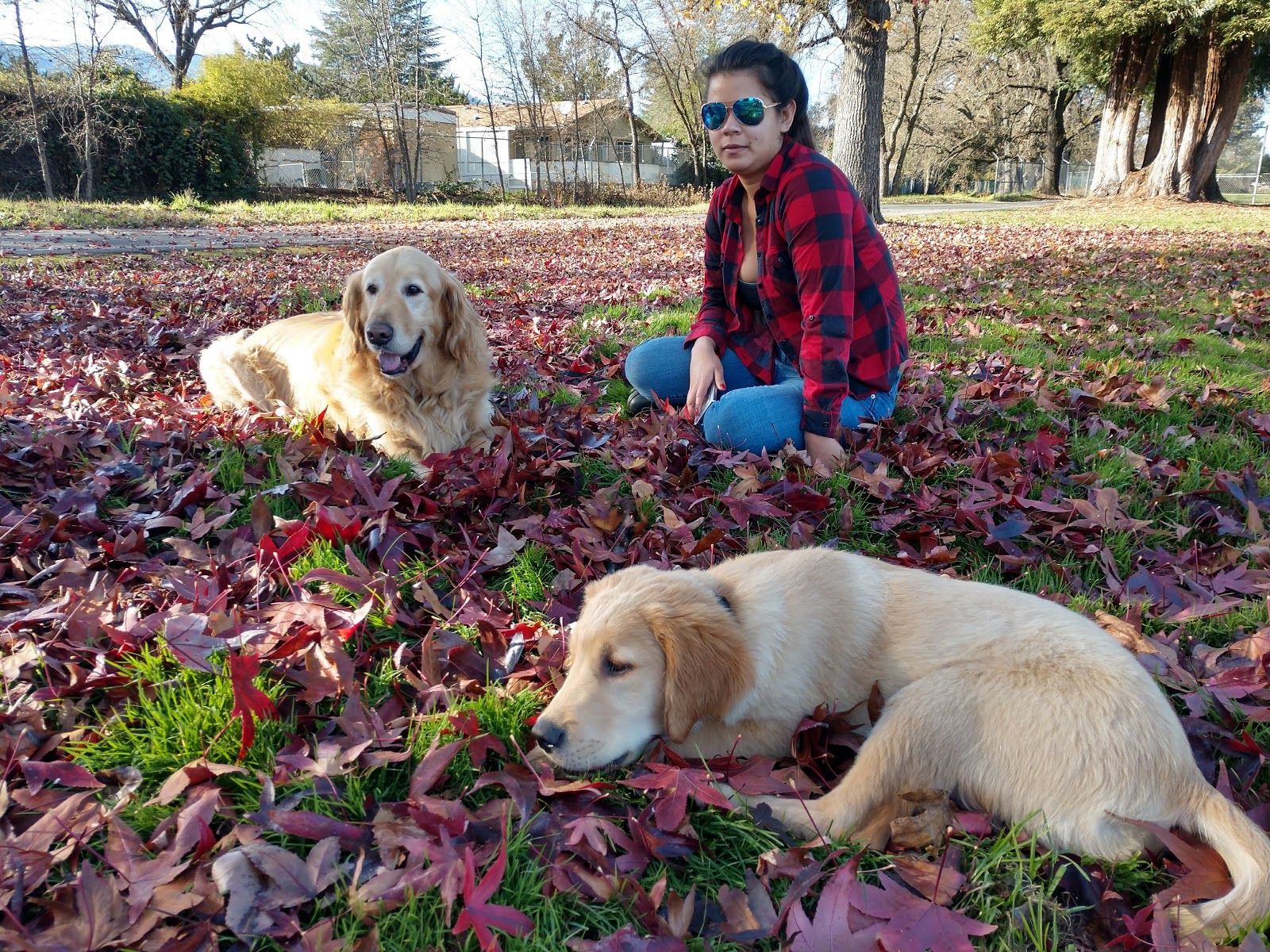 Manor Oaks Overniter