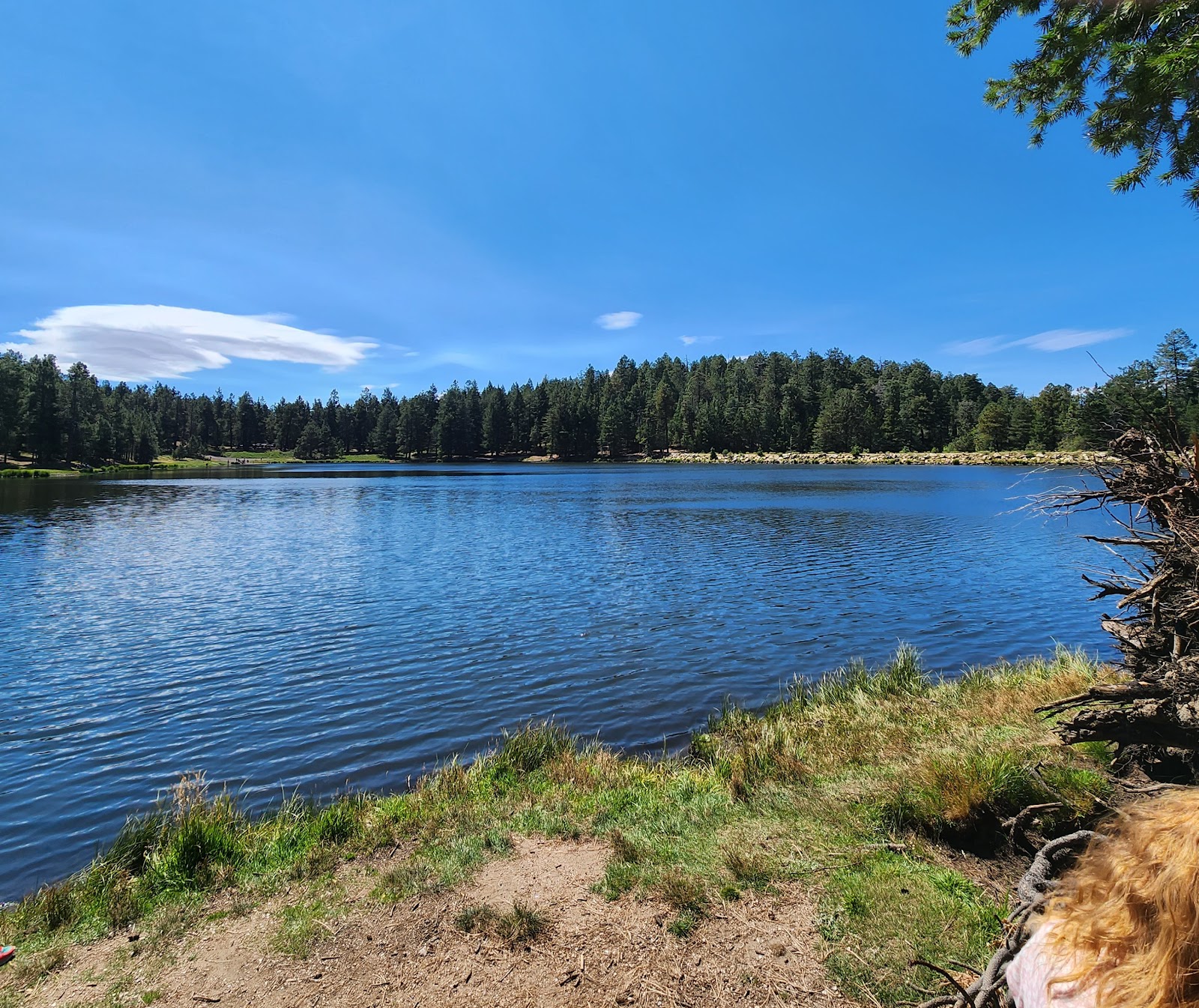 Riggs Flat Campground