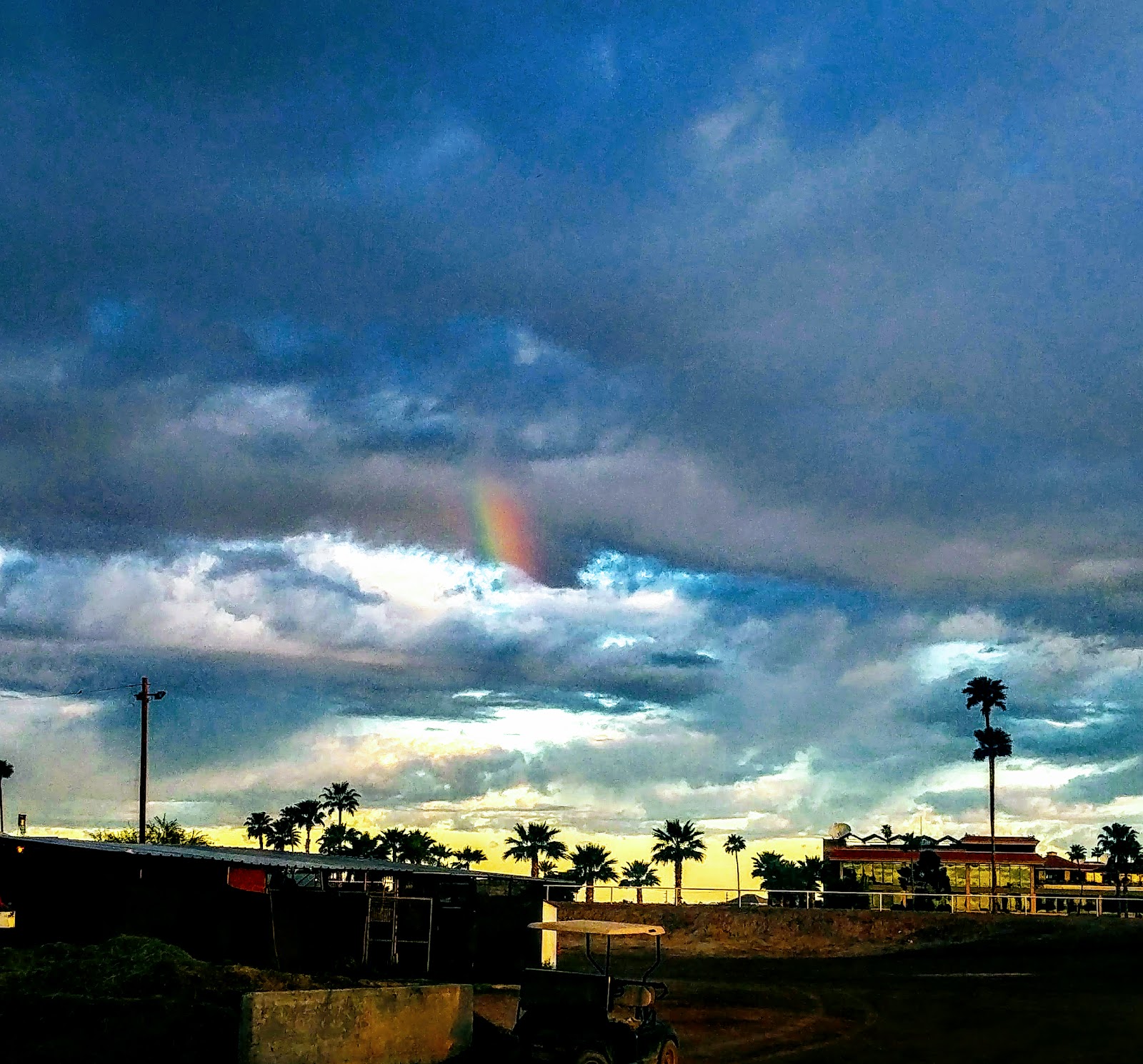 Turf Paradise Trailer Park