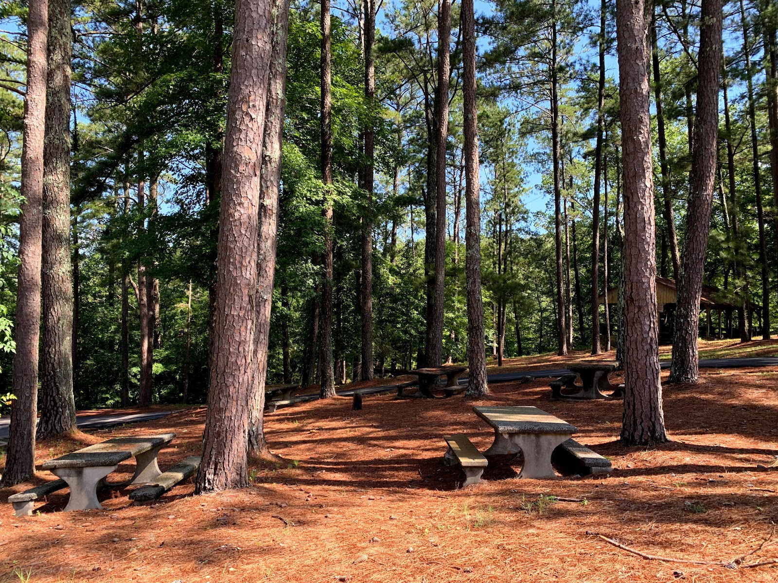 George Washington Carver Park