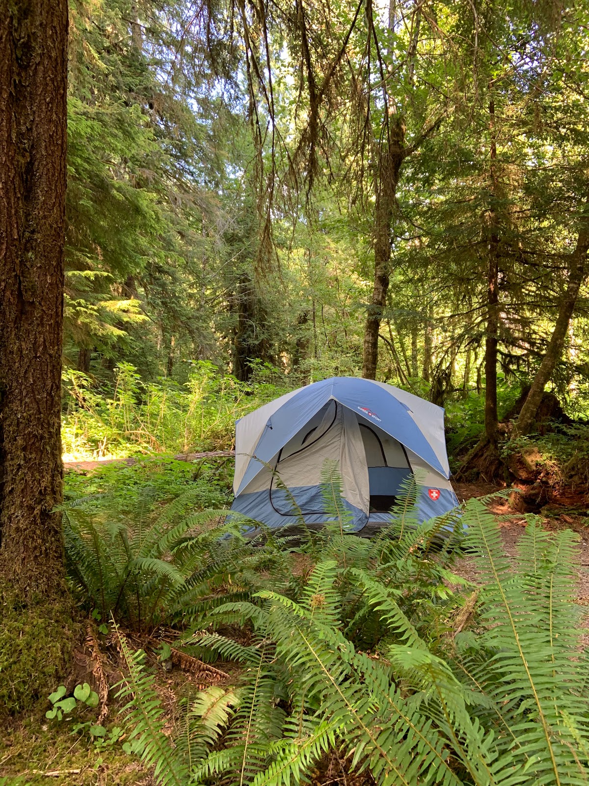 Campbell Tree Grove Campground