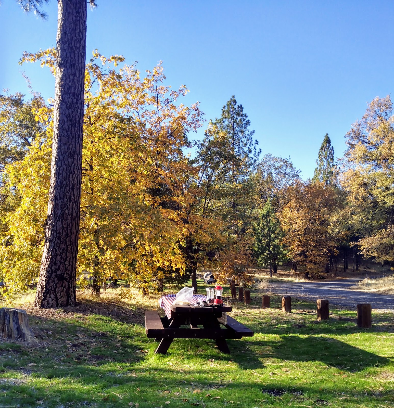 The Pines Campground