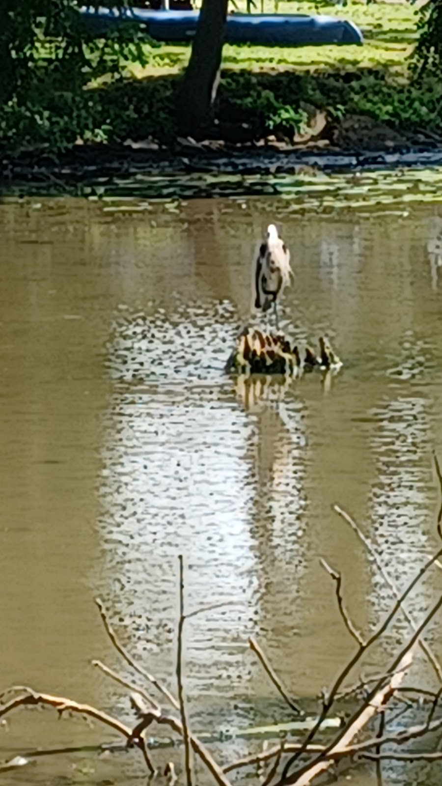 Champaign Sportsman's Club