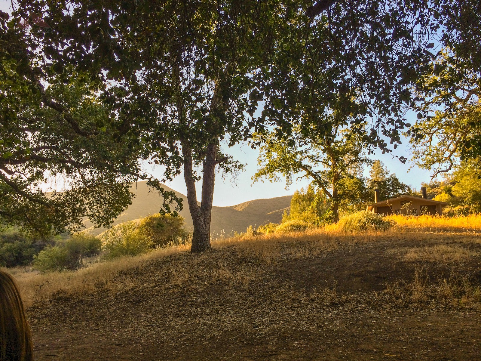 Davy Brown Campground