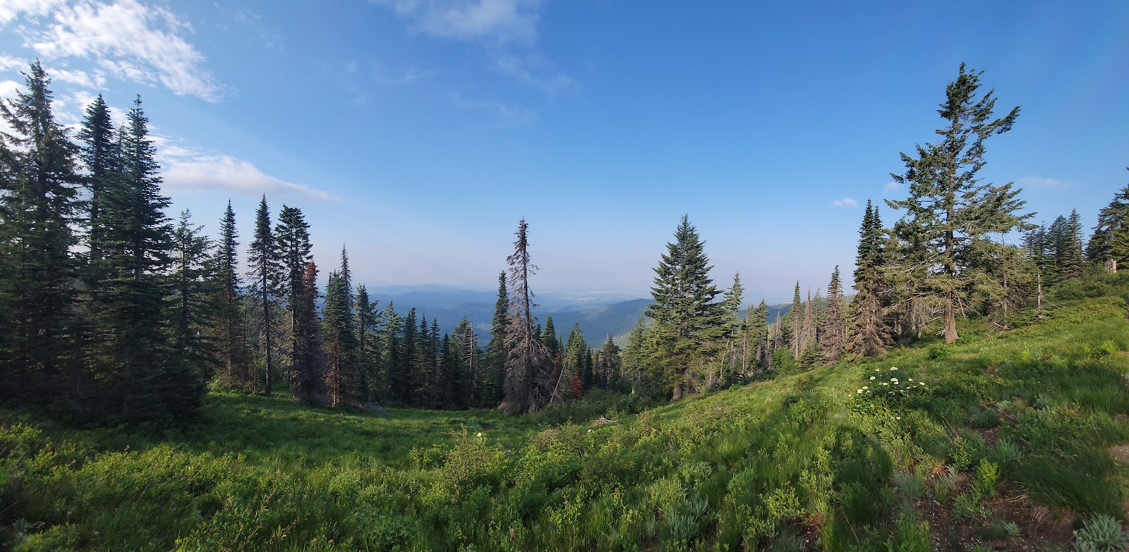 Bald Knob - Mount Spokane State Park
