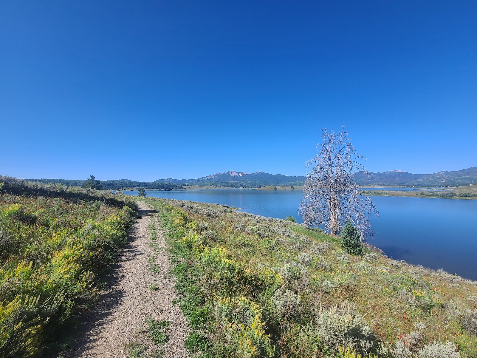 Bridge Island - Steamboat Lake State Park