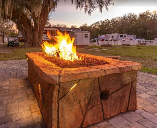 Big Tree (Age Restricted 55+)