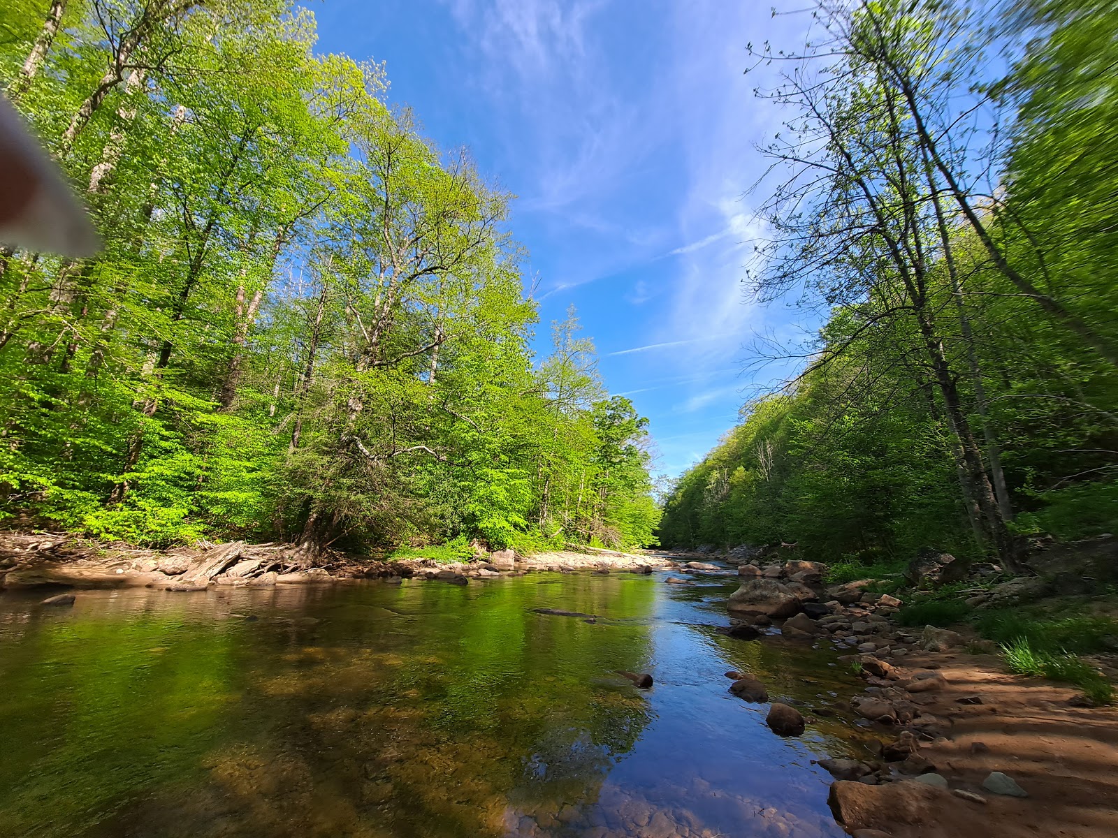 Cranberry River Sites NF Campground