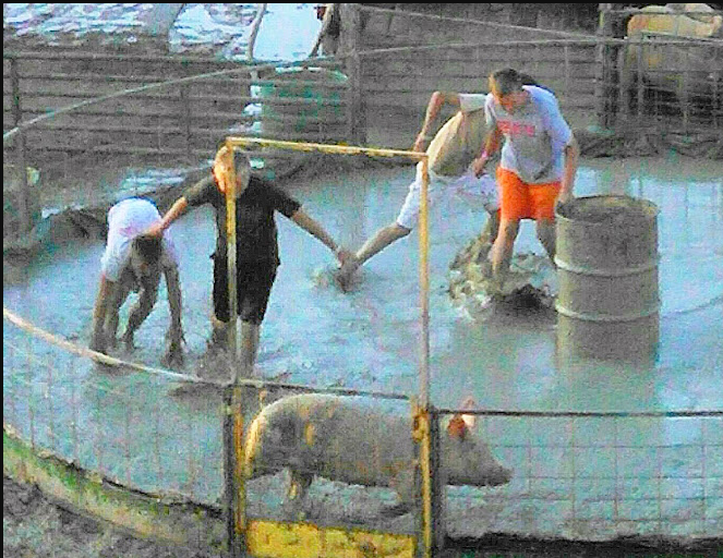 Uinta County Fairground