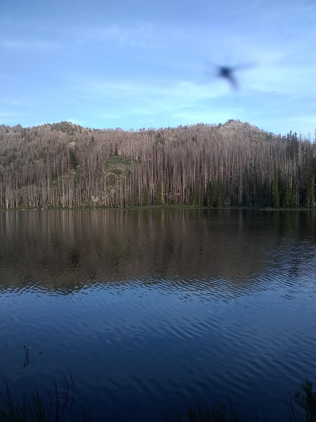 Big Trinity Lake Campground