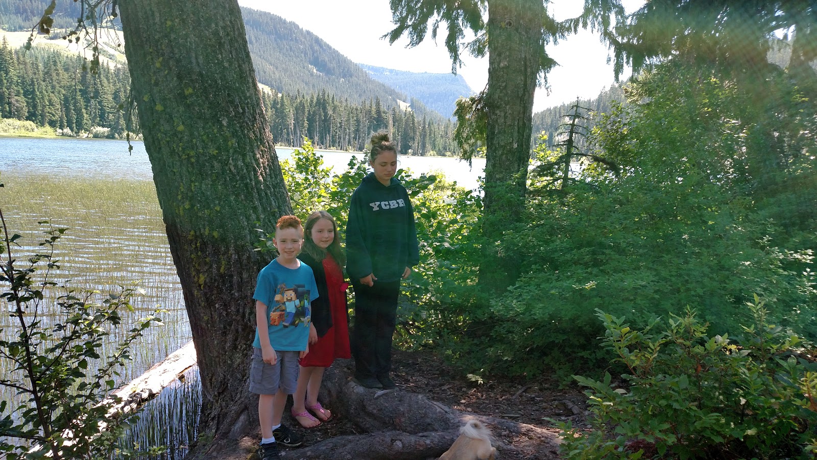 White Pass Campground