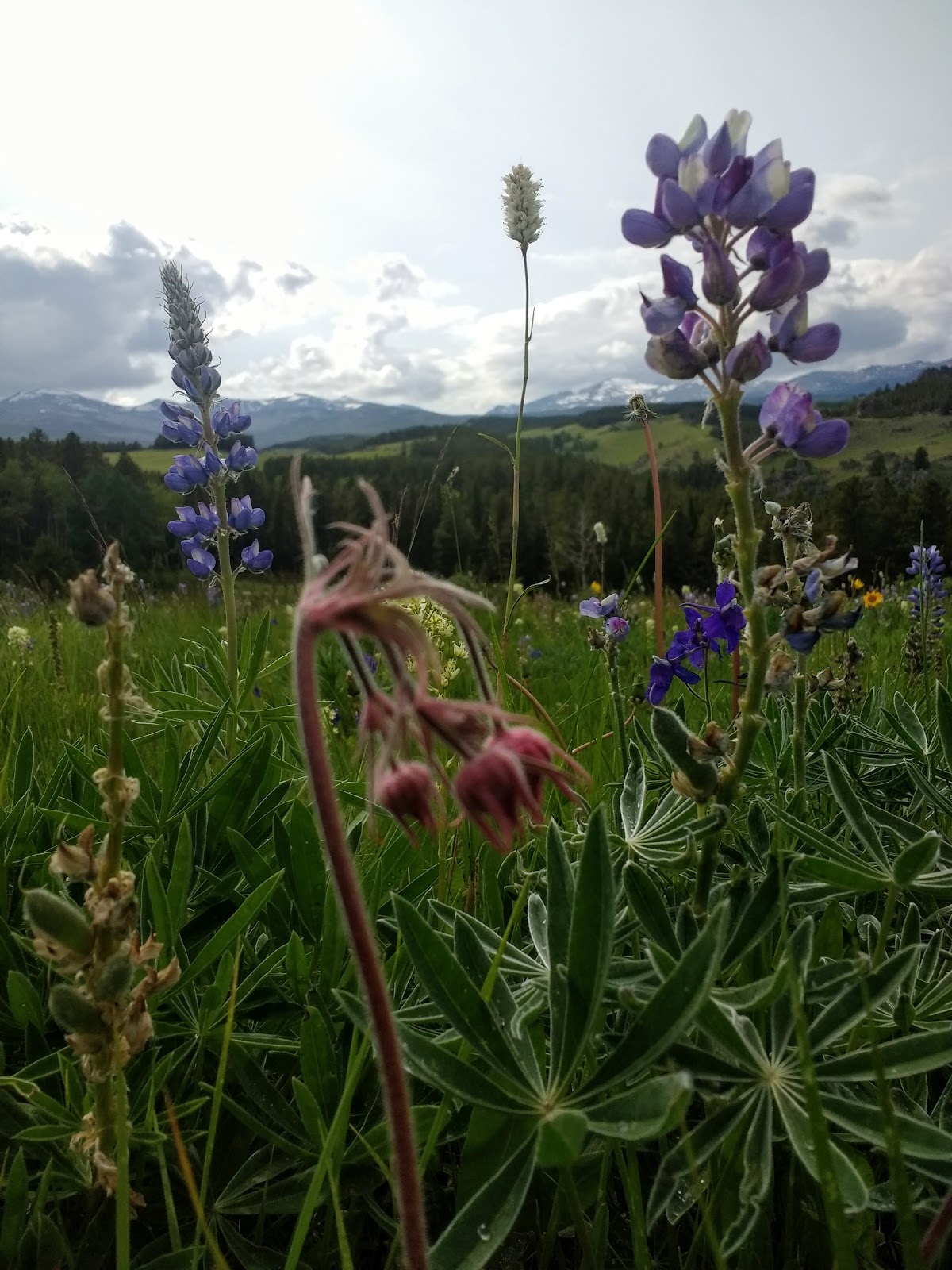 Hettinger Group Campground