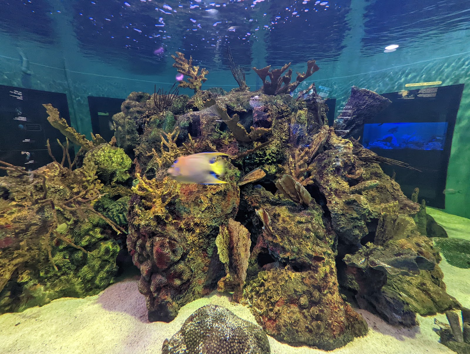 Pennekamp State Park