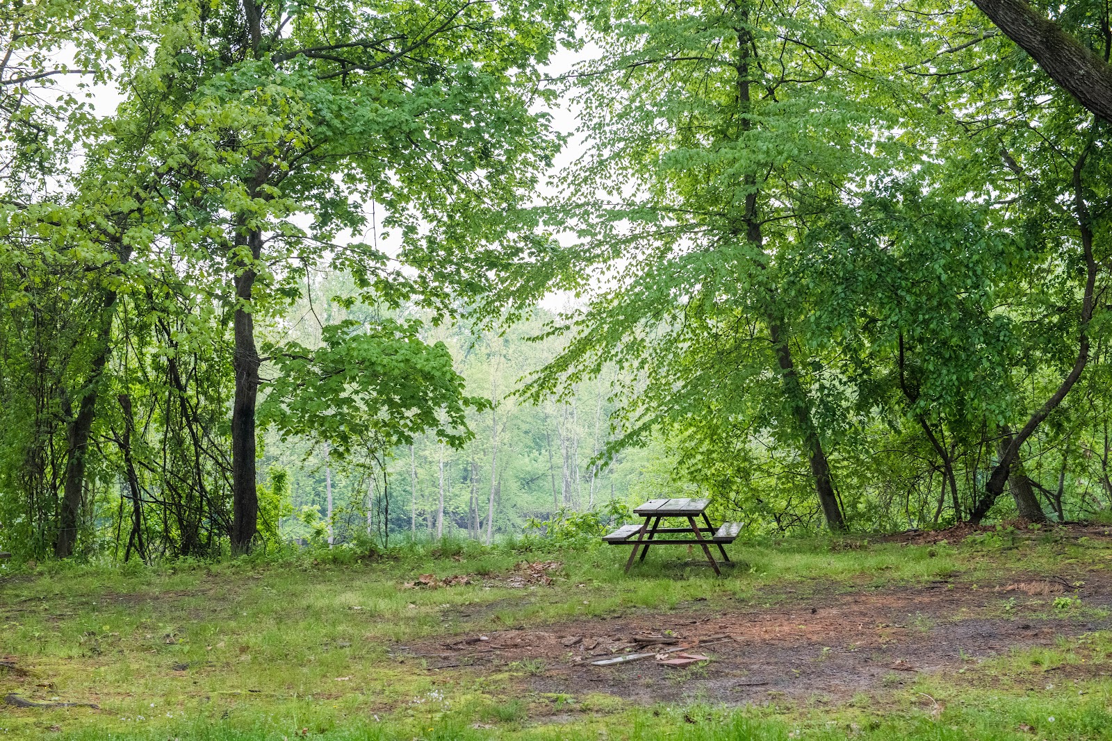 River Beach Campsites