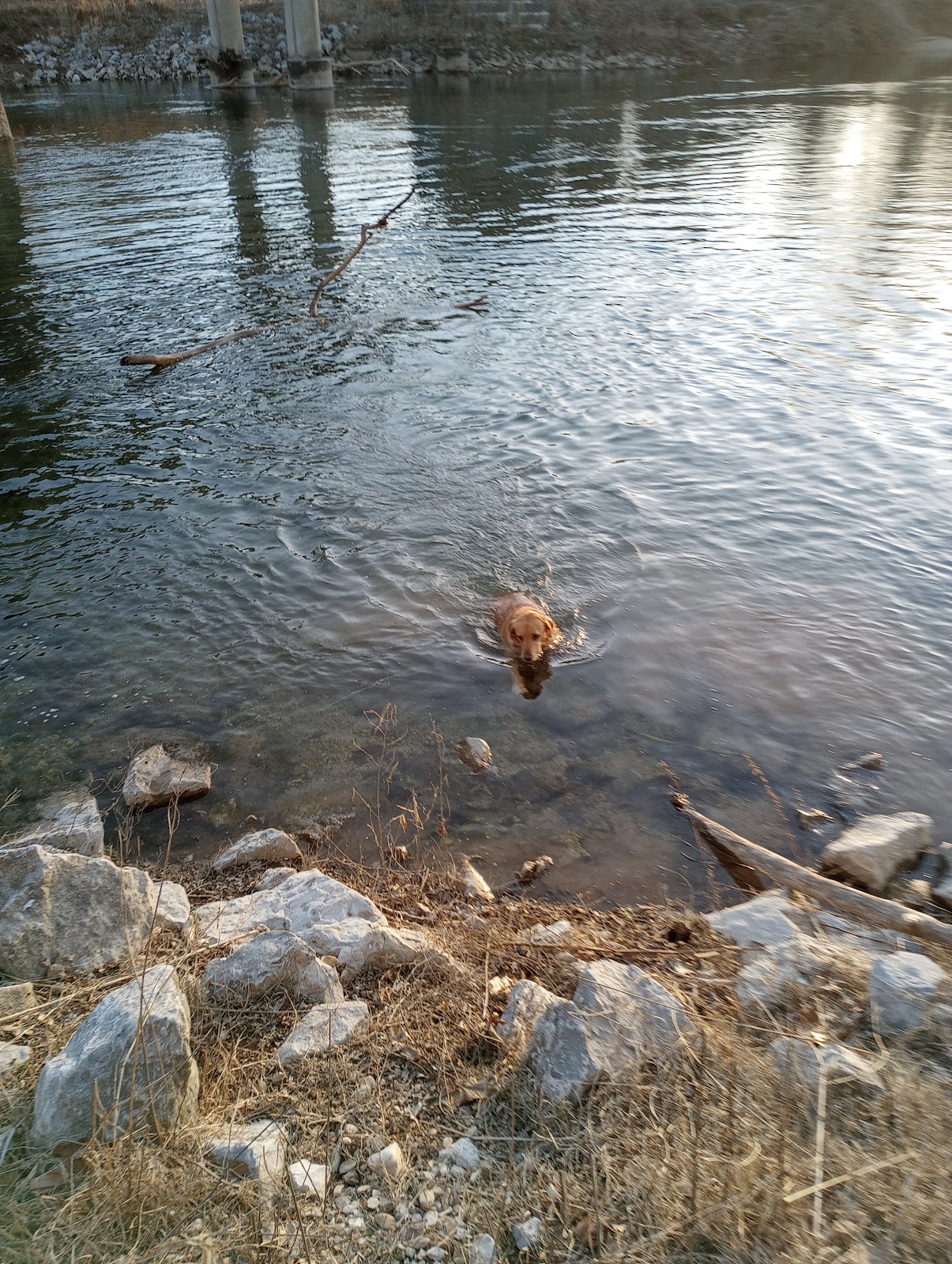 Eagles Nest Camp & Canoe