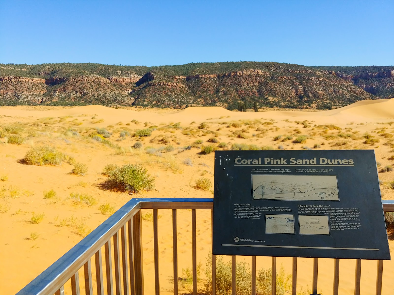 Coral Pink Sand Dunes