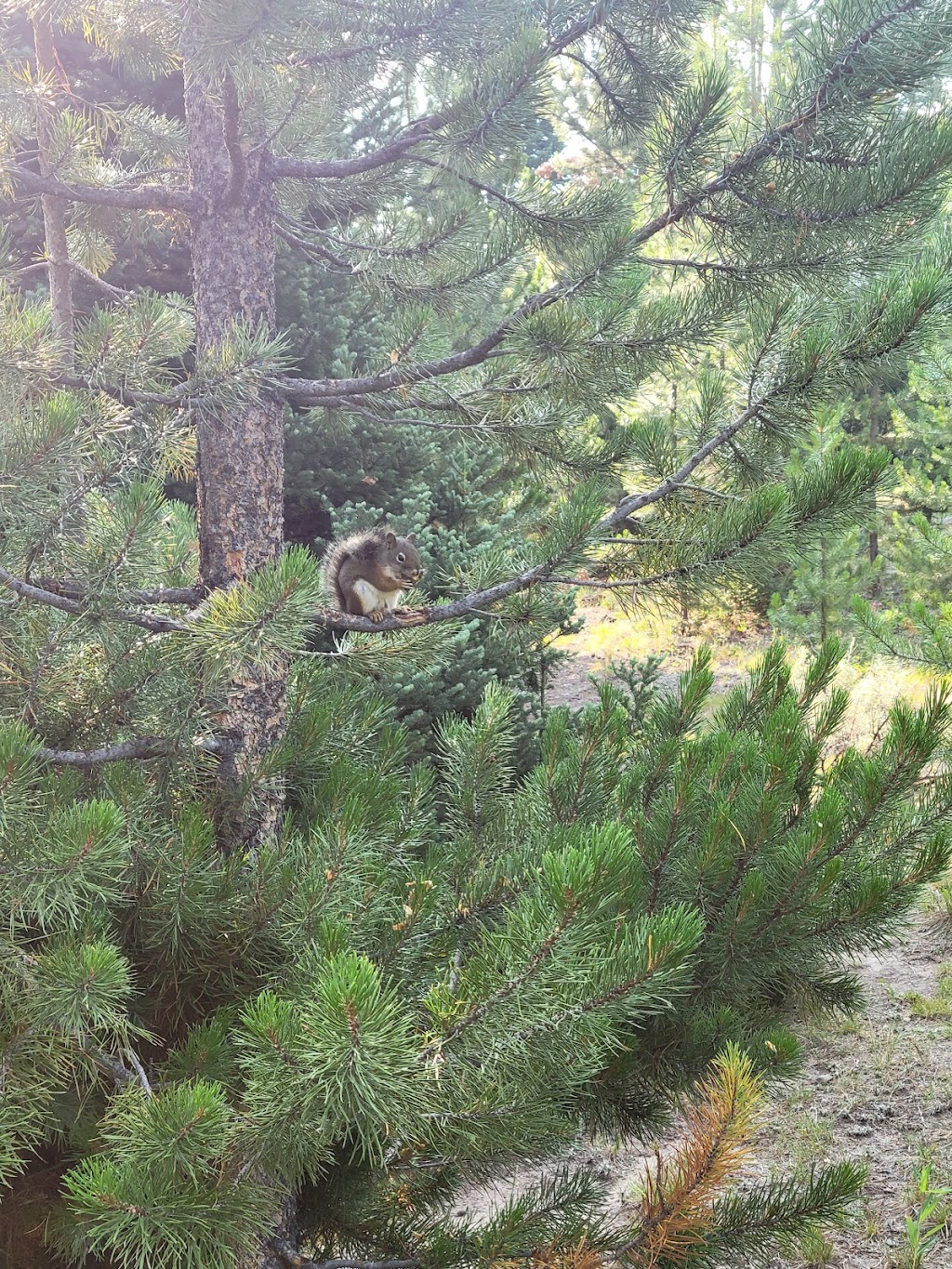 Whiskey Grove Campground