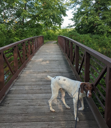 Glendalough State Park