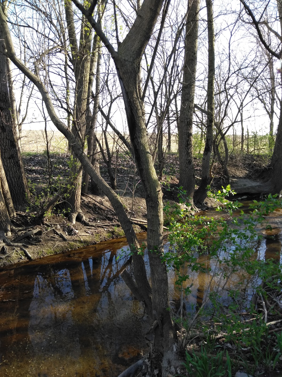 Broadview Lake Camping Resort