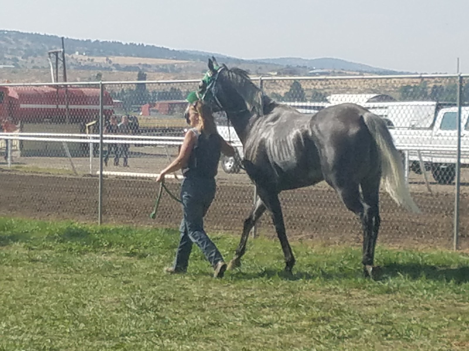 Harney County Fair Office
