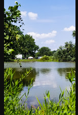 Blennerhassett RV Park